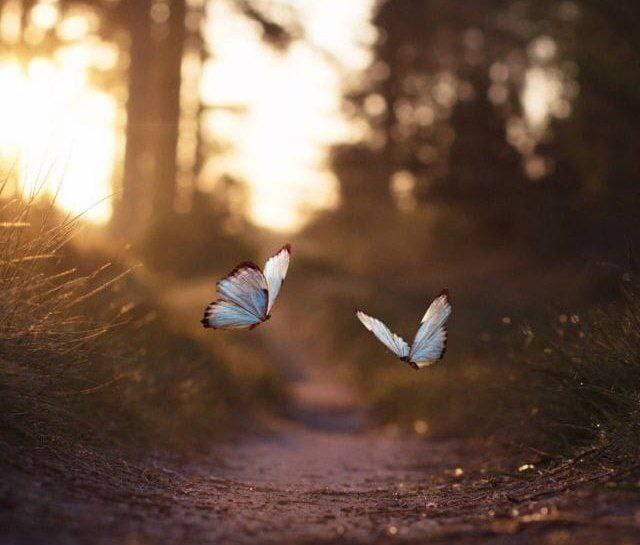 ނުބައި ކަންކަން ހުއްޓުވުމުގެ ރޫޙު މަރާލެވޭނަމަ...