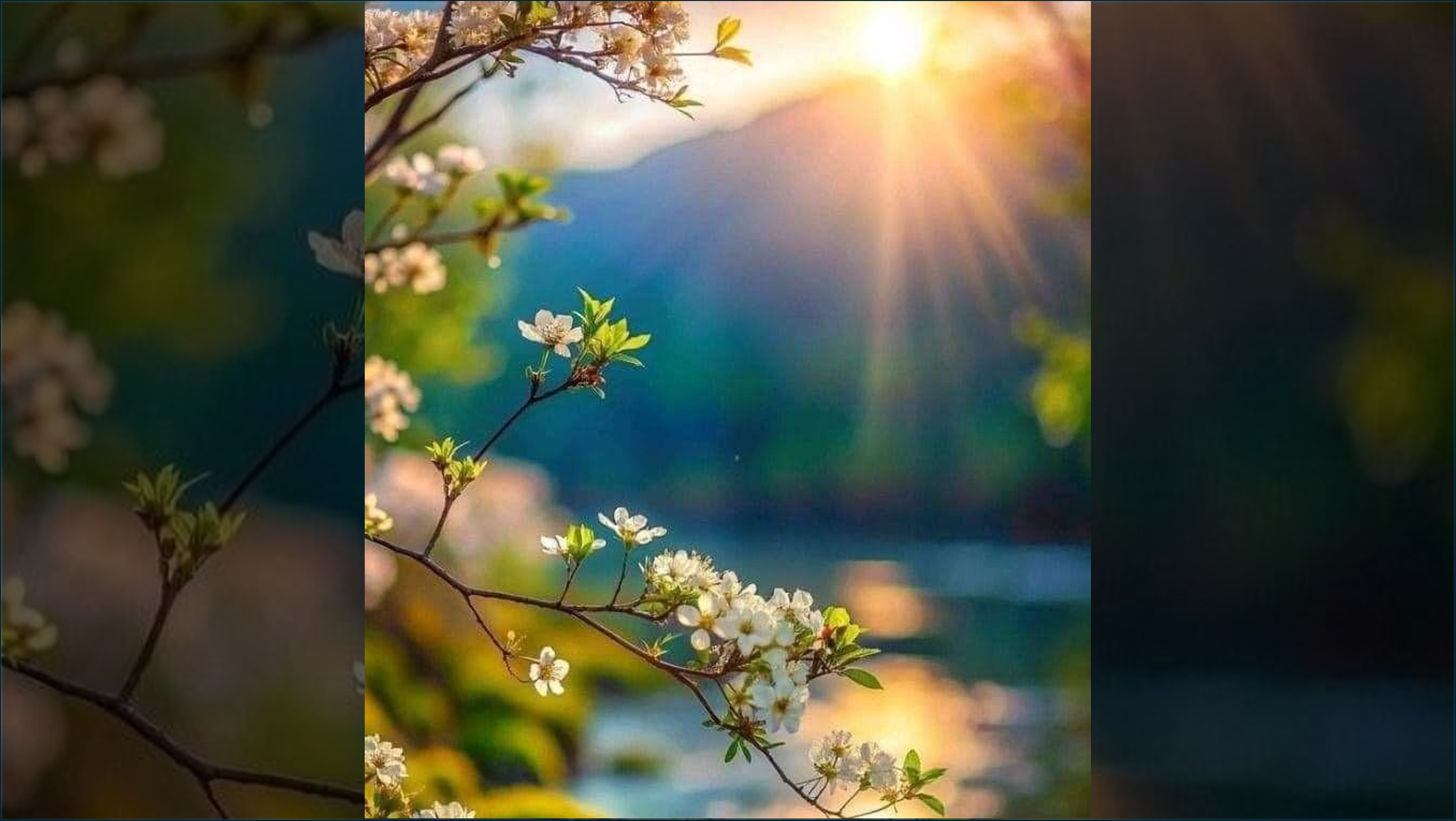 ތިޔަބައިމީހުން އިންކާރުކުރަނީ ކޮންކޮން ނިޢުމަތްތަކަކަށް ހެއްޔެވެ؟