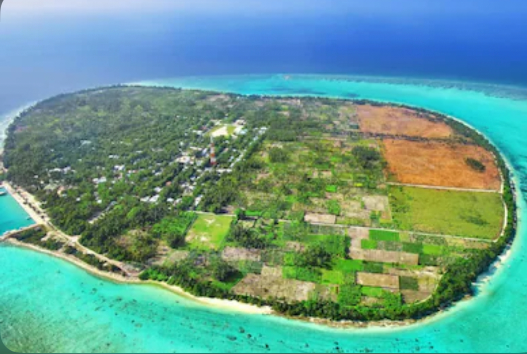 ތޮއްޑޫގައި ބަރަހަނާކޮށް އުޅުނު ފަތުރުވެރިއަކު ހައްޔަރުކޮށްފި