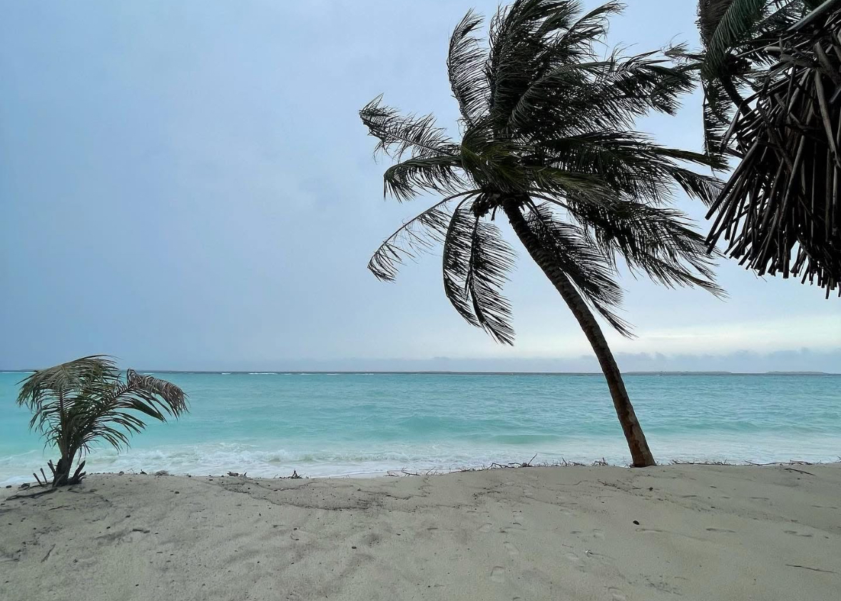 ނ. އަތޮޅުން ދ. އަތޮޅަށް ހުދު ސަމާލު ނެރެފި