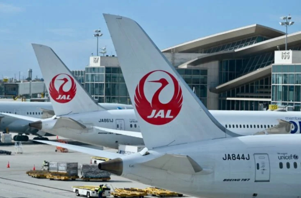 ޖަޕާނުގެ އެއާލައީންސް އަށް ސައިބާ ހަމަލާއެއް