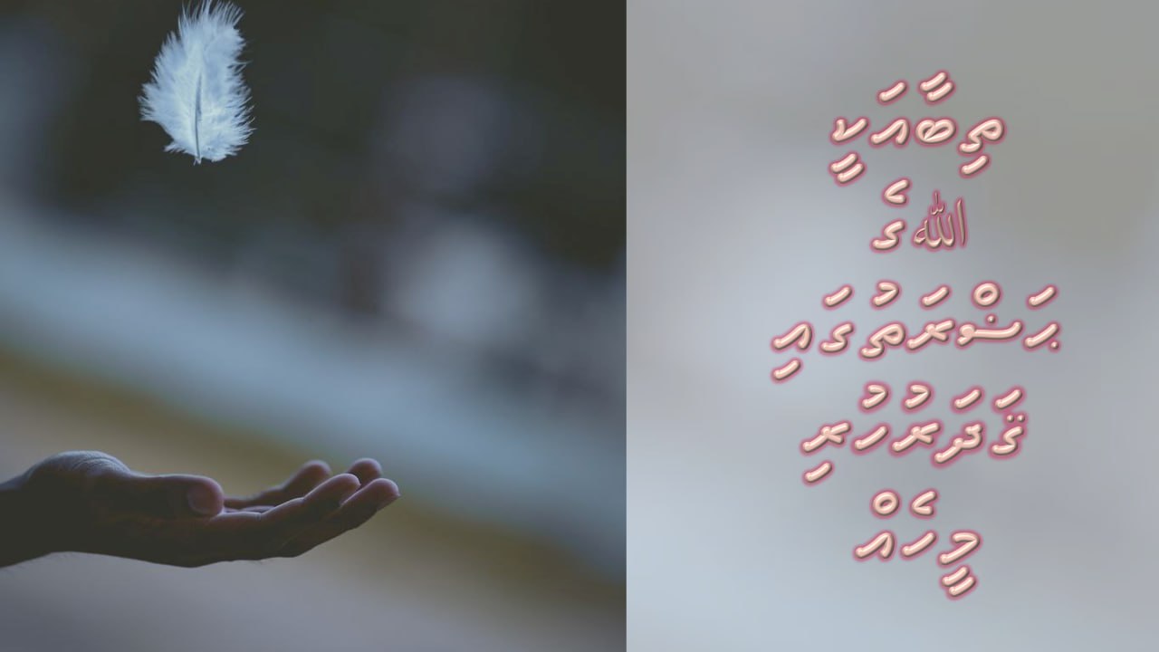 ތިބާއަކީ ﷲގެ ޙަޟްރަތުގައި ޤަދަރުހުރި މީހެއް