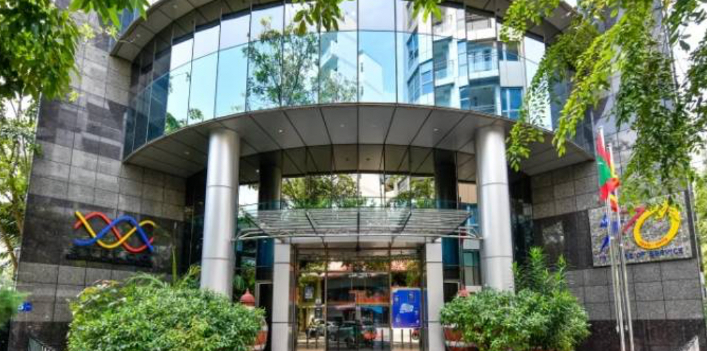 ސްޓެލްކޯގެ މެރިޓް ބޭސްޑް އިންޖިނިއަރިން ސްކޮލަރޝިޕަށް ފުރުސަތު ހުޅުވާލައިފި!